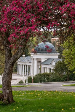 Maden suyu pınarları Pavyonu - Marianske Lazne 'deki sütunlar (Marienbad) - Çek Cumhuriyeti