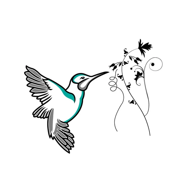 Icono de línea de colibrí, signo de vector de contorno, pictograma lineal iso — Vector de stock