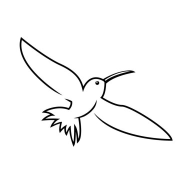 Hummingbird çizgi simgesi, ana hat vektör işareti, doğrusal pictogram izo