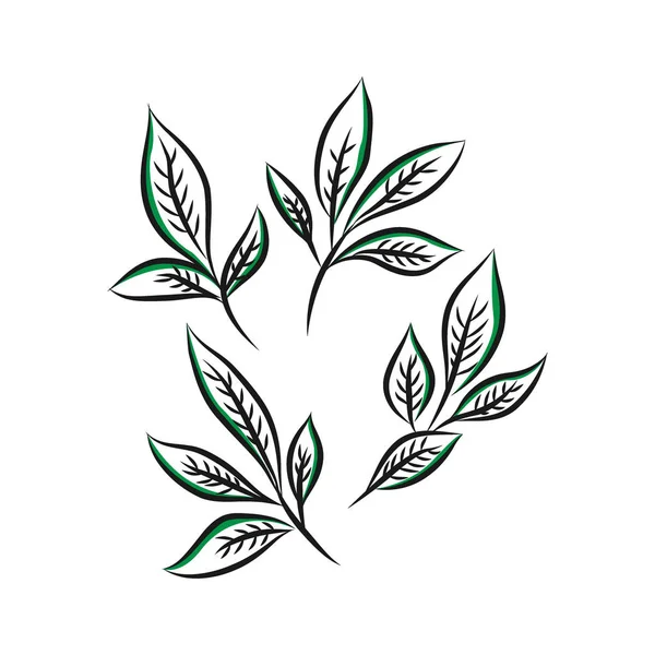 Dibujado a mano hoja sin costura pattern.Tea vector ilustración — Archivo Imágenes Vectoriales