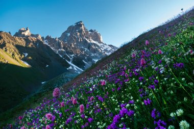 Şafakta Mount dır Gürcistan'daki dağ manzarası