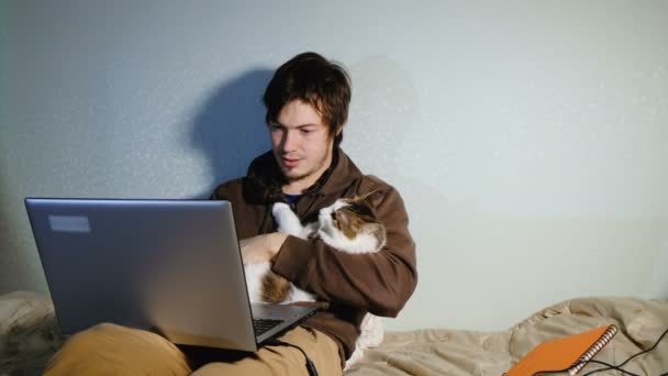 Un joven trabajando en una computadora en casa, sentado en la cama con los gatos, los gatos disfrutan y juegan . — Vídeos de Stock