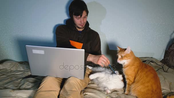 A man plays with a pen with your cat sitting on the bed with his laptop, the cats distract from the work. — Stock Video