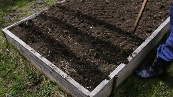 Woman stick punctures the ground in the garden, 4k. — Stock Video