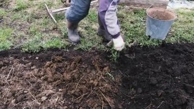 Bahçe, 4 k yere kürek adam kazıyor.