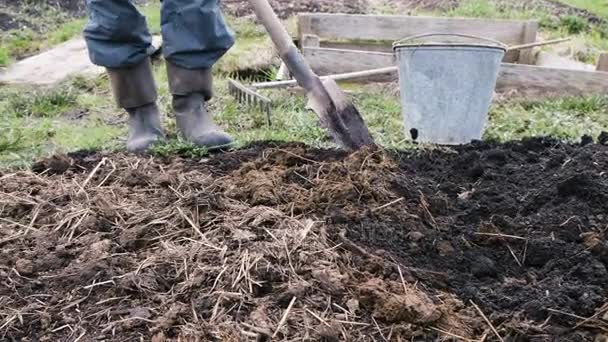 L'uomo mescola la terra con letame, prepara il terreno per piantare verdure, 4k . — Video Stock