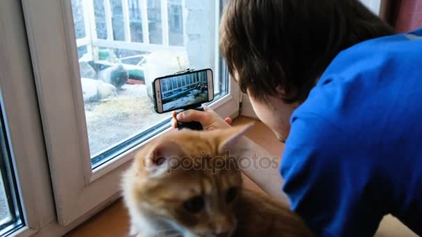 Un joven toma fotos de pájaros en el teléfono, picoteando grano en el balcón, dos gatos miran a los pájaros, 4k — Vídeo de stock