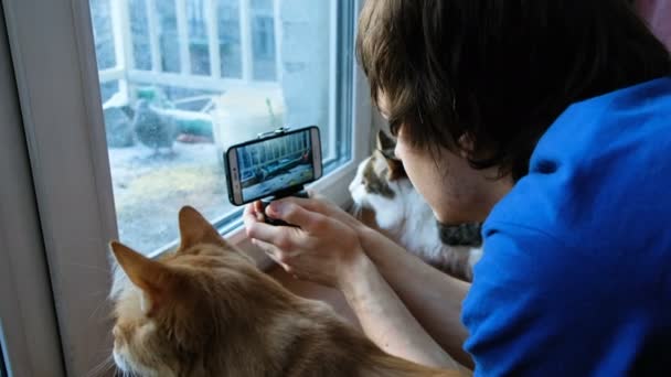 Un giovane uomo con i gatti prende un video di uccelli che cantano grano sul balcone, 4k — Video Stock