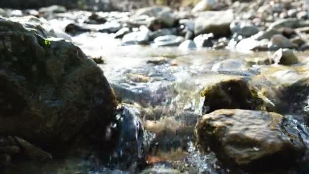 Hegyi patak, víz átáramlik a kövek, tavasszal, 4k. — Stock videók