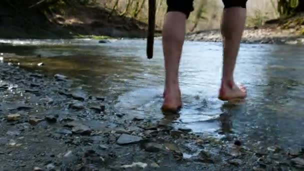 Een jonge man kruist een berg rivier wade blote voeten met een stok, 4k. — Stockvideo