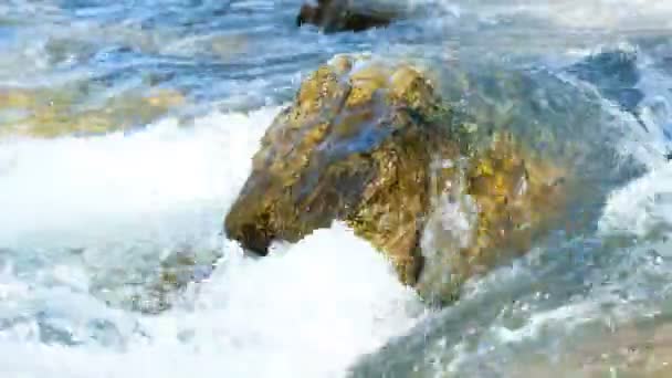 Mountain stream, water is washed by a stone on a sunny day, 4k. — Stock Video