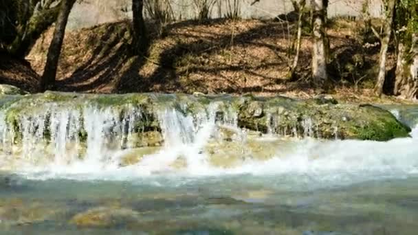 Horský potok pracuje v lese na jaře, malým vodopádem, 4k. — Stock video
