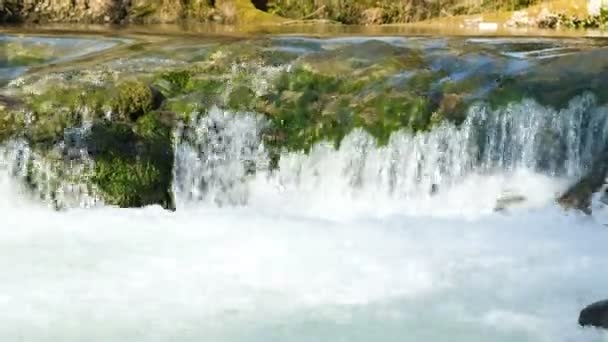 Een kleine waterval uit een rivier berg in een forest van de lente, 4k. — Stockvideo