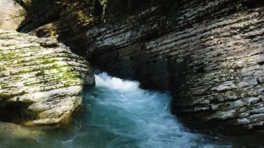 Temiz dağ dere 4 k kayaların arasındaki ormanda çalışır.