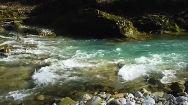 Швидкий гірський потік проходить у весняному лісі, 4k . — стокове відео
