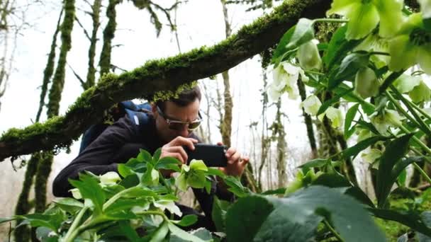Mladý turista v brýlích s batohem je fotografování květin a rostlin na telefonu, 4k. — Stock video
