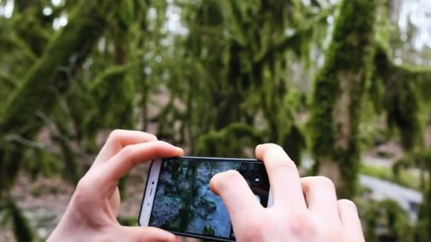 Un homme prend des photos d'arbres dans la forêt sur un smartphone, 4k . — Video