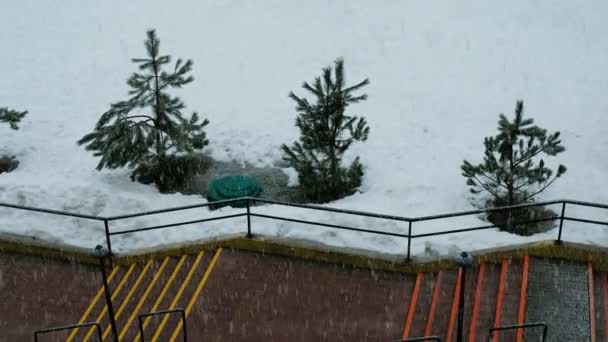 Große Schneeflocken fallen auf den Asphalt, 4k. — Stockvideo