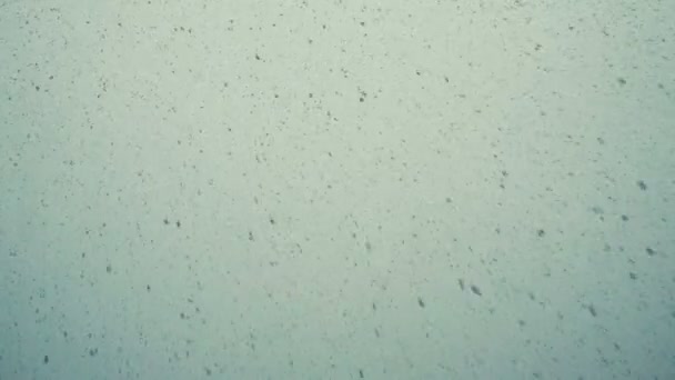 Large snow flakes are falling from the sky, very large snow falls by a wall, a bottom view, slow motion — Stock Video