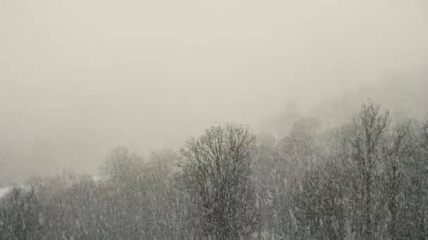 Fuertes nevadas en las montañas, nieve cae por una pared, cámara lenta — Vídeos de Stock