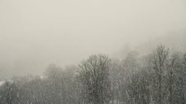 Sterke sneeuwval in de bergen sneeuw valt door een muur, slow-motion — Stockvideo