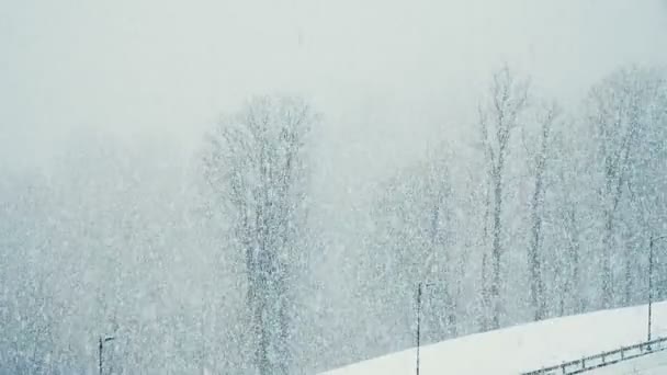 De grands flocons de neige tombent du ciel, de très grandes chutes de neige par un mur, au ralenti — Video