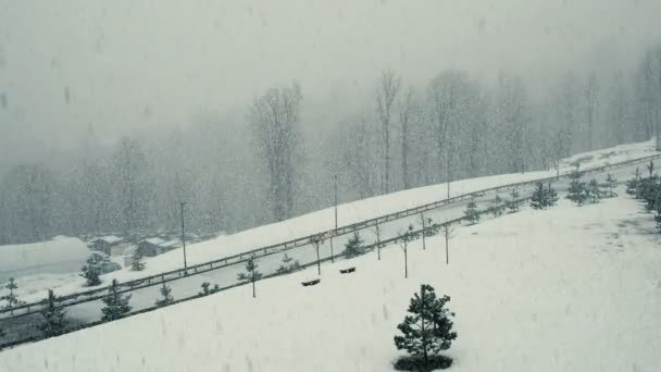 Une grosse chute de neige surplombant la route, forte tempête de neige et de neige, 4k . — Video