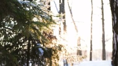 Güzel kız kar atar ve gülüyor, 4k