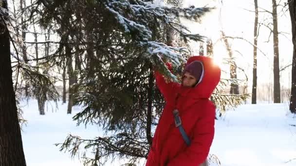Schönes Mädchen schüttelt einen verschneiten Ast, Schnee fällt auf ein Mädchen mit einem Zweig, Zeitlupe — Stockvideo
