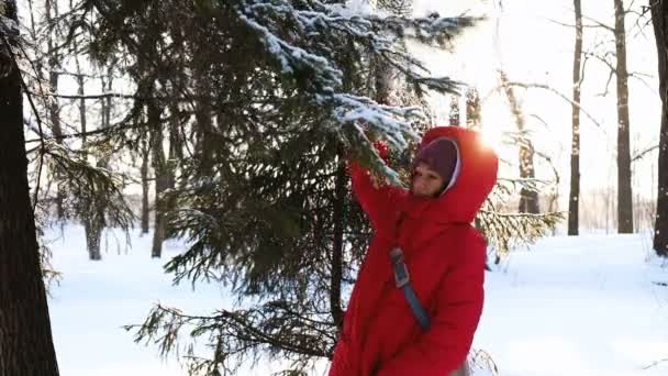 Hermosa chica sacude una rama nevada, nieve cae sobre una chica con una ramita, cámara lenta — Vídeos de Stock