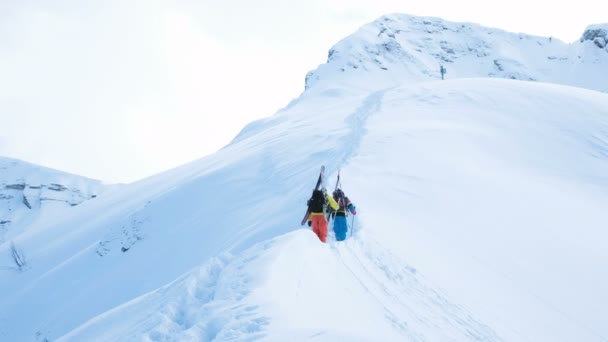 Лыжники взбираются на вершину горы для фрирайда — стоковое видео