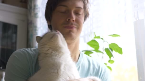 白宫的猫喜欢吃他的主人，舔他的主人 — 图库视频影像