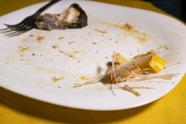 Balık kemikleri ve deri kirli bir tabakta yatıyor.