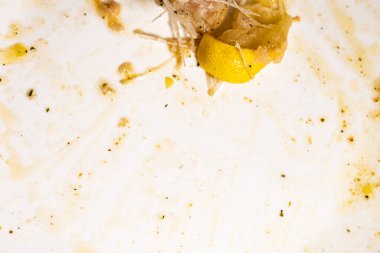 Yemekten sonra kirli tabaklar, artıklar.