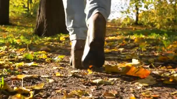 Flicka ben gå på gyllene matta i solig skog låg båge skott — Stockvideo