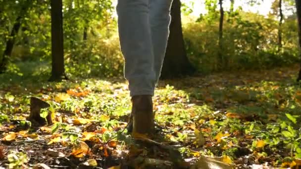 Vrouw benen in hakken laarzen lopen op gevallen bladeren terug uitzicht — Stockvideo