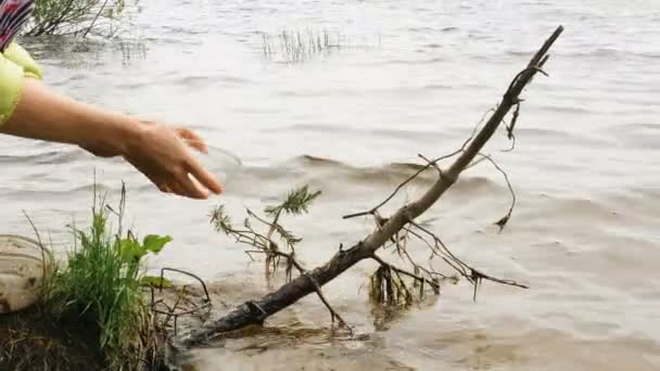 Γυναίκα χέρια πλύνετε σαφές γυάλινα μπολ σε θολό νερό του ποταμού — Αρχείο Βίντεο