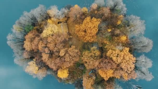 Camera zooms out colorful autumn island among turquoise sea — Stock Video