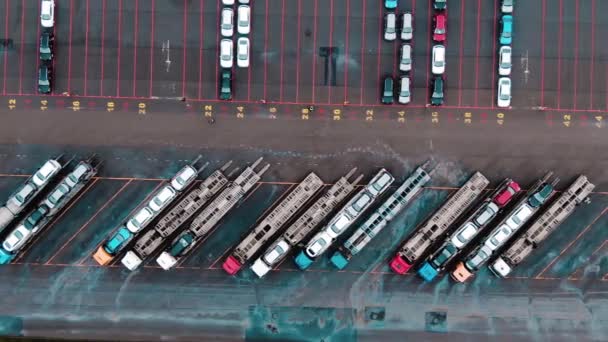 Autotransporter vrachtwagens staan op enorme parkeerplaats luchtfoto uitzicht — Stockvideo