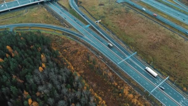 Mehrstöckiger Austausch mit fahrenden Autos durch den goldenen Wald — Stockvideo