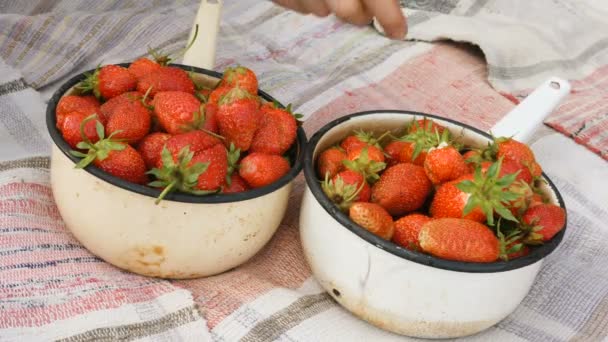 As mãos de amigos tomam morangos deliciosos de potes no jardim — Vídeo de Stock