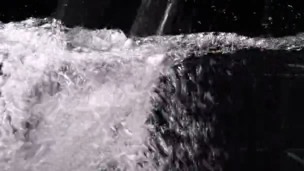 Agua clara vertida en un gran acuario de vidrio transparente — Vídeos de Stock