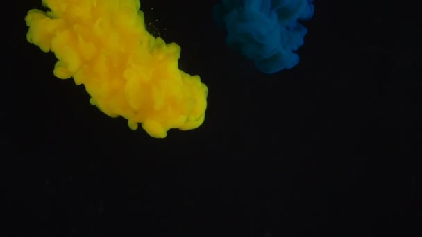 Bright yellow ink cloud mixes with blue paint creating green — Stock Video