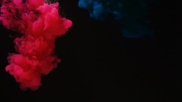 Nubes de tinta rosa brillante y azul se mezclan y crean humo violeta — Vídeo de stock