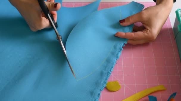 Профессиональная швея вырезает детали одежды из ткани ножницами — стоковое видео