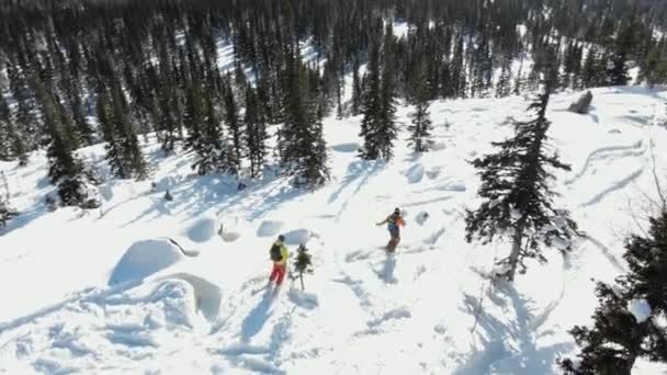 Esquiadores en cascos esquiar a lo largo de la colina pista áspera más allá de los pinos — Vídeo de stock