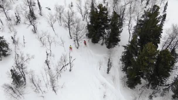 Professionella skidåkare silhuetter rör sig längs skogsbanan — Stockvideo