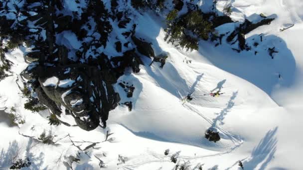 Professional skier silhouettes stop on white hill aerial — 비디오