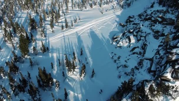 Piste de ski moderne parmi les forêts de pins à feuilles persistantes au coucher du soleil — Video