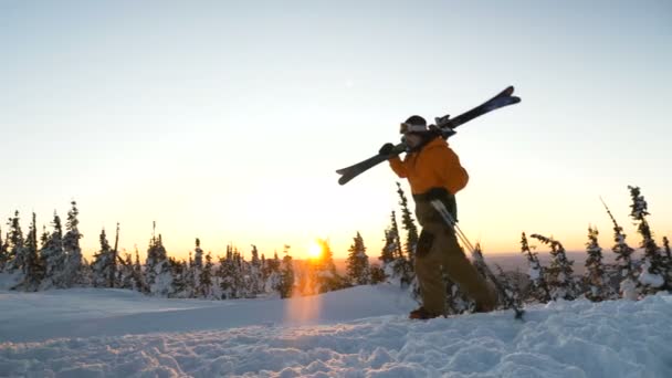 Bitkin kayakçı çam ağaçlarıyla karlı çayırlarda yürüyor. — Stok video